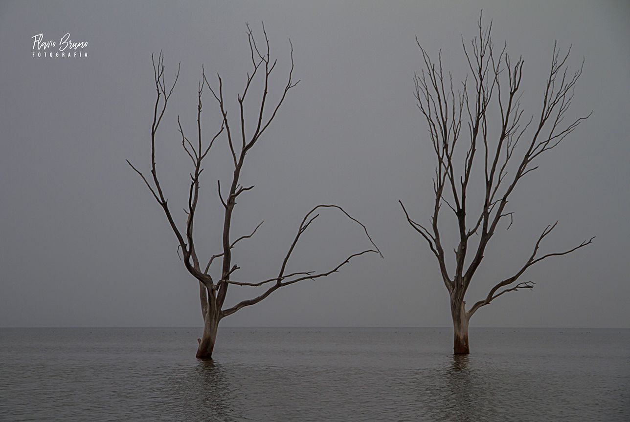 ARGENTINA-Lago Epecuen